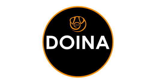 Doina